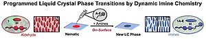 Isothermal Phase Transitions in Liquid Crystals Driven by Dynamic Covalent Chemistry