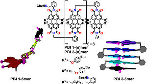 Sequential Synthesis and Secondary Structure Analysis of Two Classes of Perylene Bisimide Oligomers