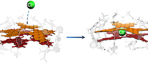 The Würzburg model system consisting of two nanographene layers that can absorb and bind chloride ions (green) through a defect in the crystal lattice. (Image: Kazutaka Shoyama / Universität Würzburg)