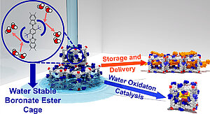 A Water-Stable Boronate Ester Cage