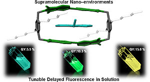 The Delayed Box: Biphenyl Bisimide Cyclophane, a Supramolecular Nano-environment for the Efficient Generation of Delayed Fluorescence